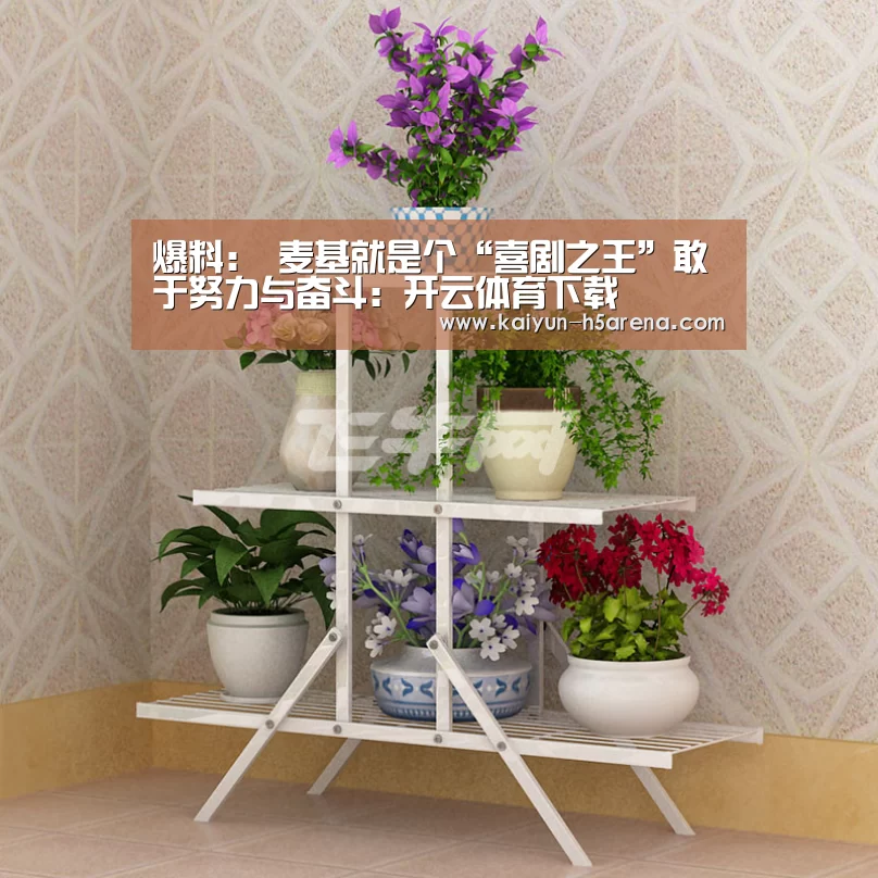 开云App下载